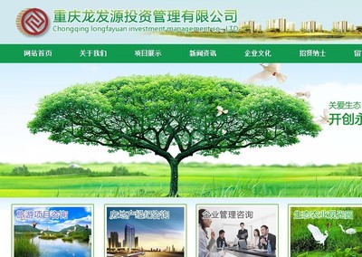 深耕細(xì)作 重慶龍發(fā)源投資管理網(wǎng)站順利上線記